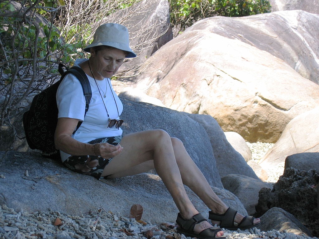 CairnsTC424 Fitzroy Island.jpg